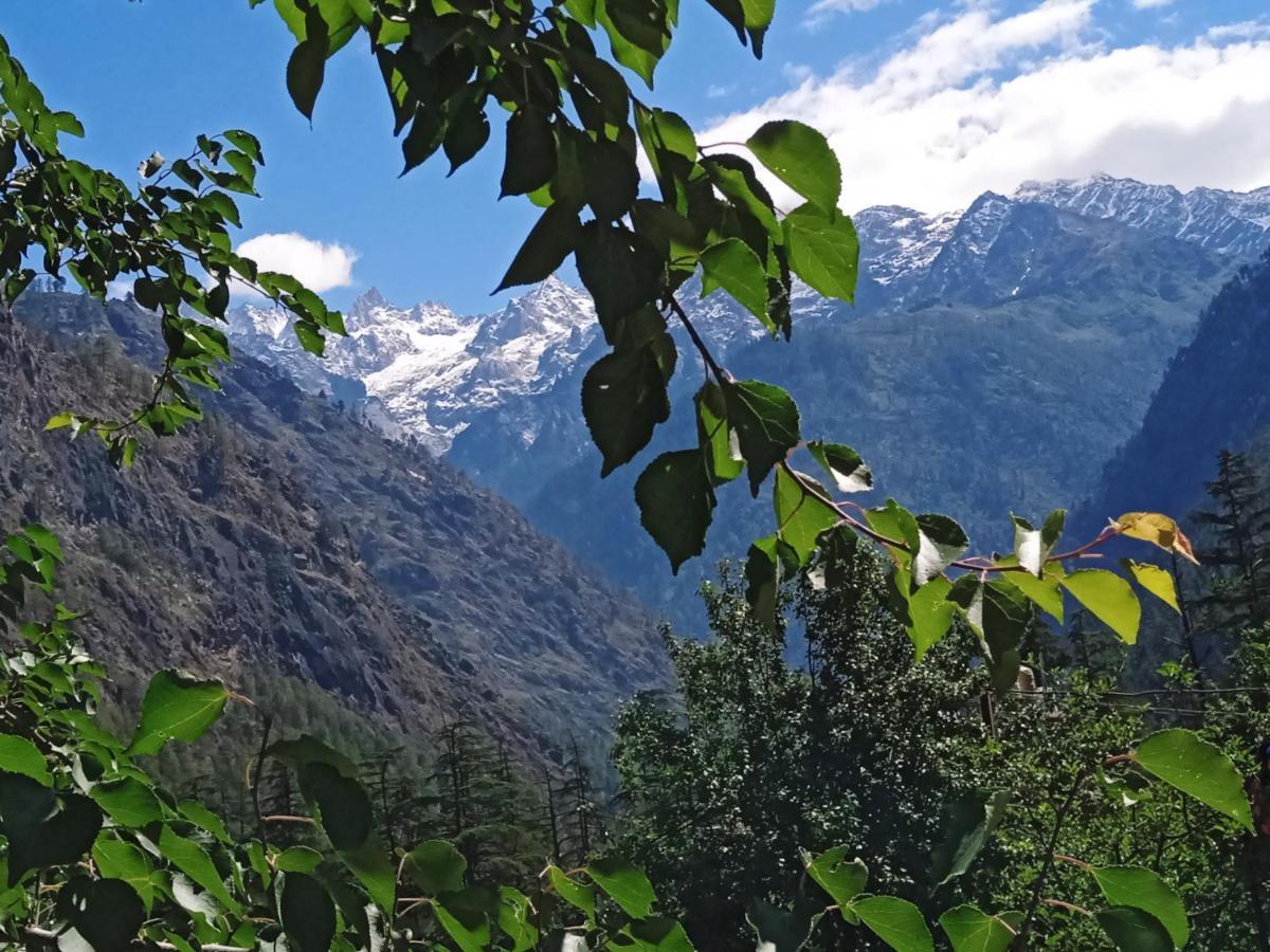 Kasol View Hotel Esterno foto